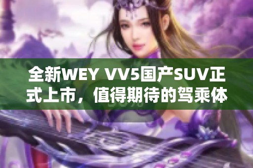 全新WEY VV5国产SUV正式上市，值得期待的驾乘体验