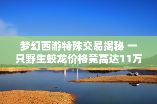 梦幻西游特殊交易揭秘 一只野生蛟龙价格竟高达11万 还有人愿意购买