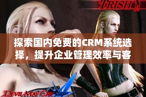 探索国内免费的CRM系统选择，提升企业管理效率与客户关系