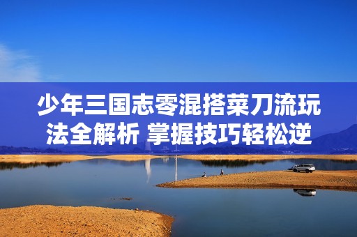 少年三国志零混搭菜刀流玩法全解析 掌握技巧轻松逆袭对手新天地