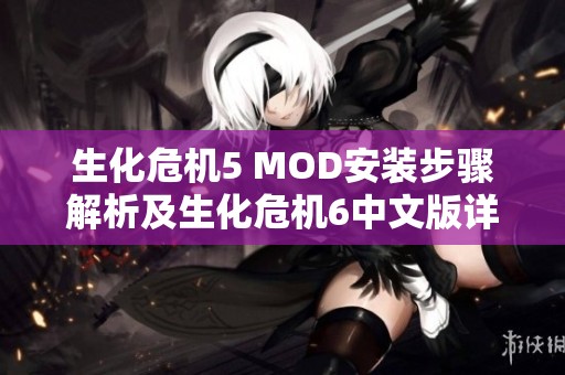 生化危机5 MOD安装步骤解析及生化危机6中文版详细设置指南