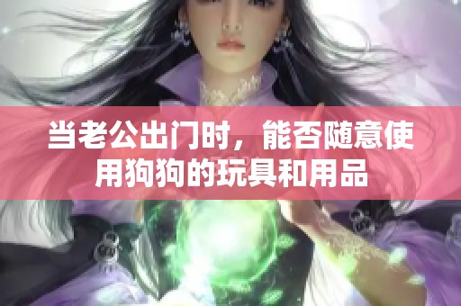 当老公出门时，能否随意使用狗狗的玩具和用品