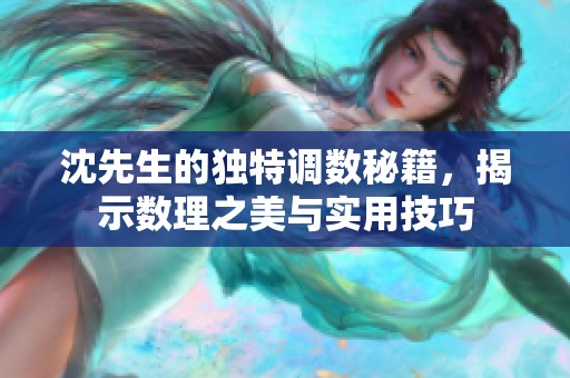 沈先生的独特调数秘籍，揭示数理之美与实用技巧