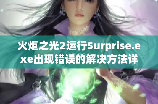 火炬之光2运行Surprise.exe出现错误的解决方法详解与指南