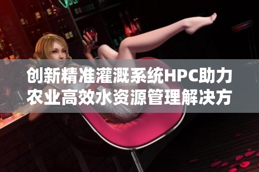 创新精准灌溉系统HPC助力农业高效水资源管理解决方案