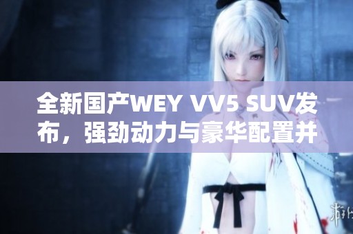 全新国产WEY VV5 SUV发布，强劲动力与豪华配置并存